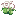 Lily Bushel