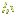 Sugar Cane Fibers